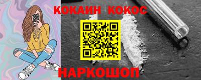 дмт Кингисепп