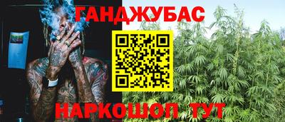 дмт Кингисепп