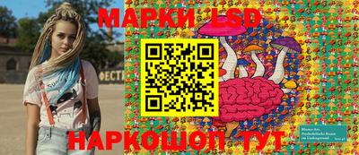 дмт Кингисепп