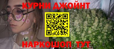 дмт Кингисепп