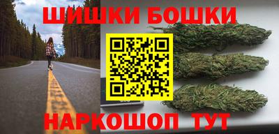 дмт Кингисепп
