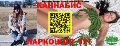 мдпв Кимры