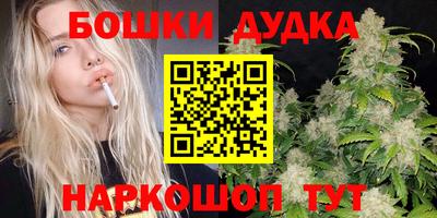 дмт Кингисепп