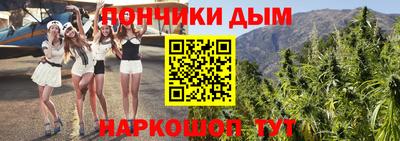 дмт Кингисепп