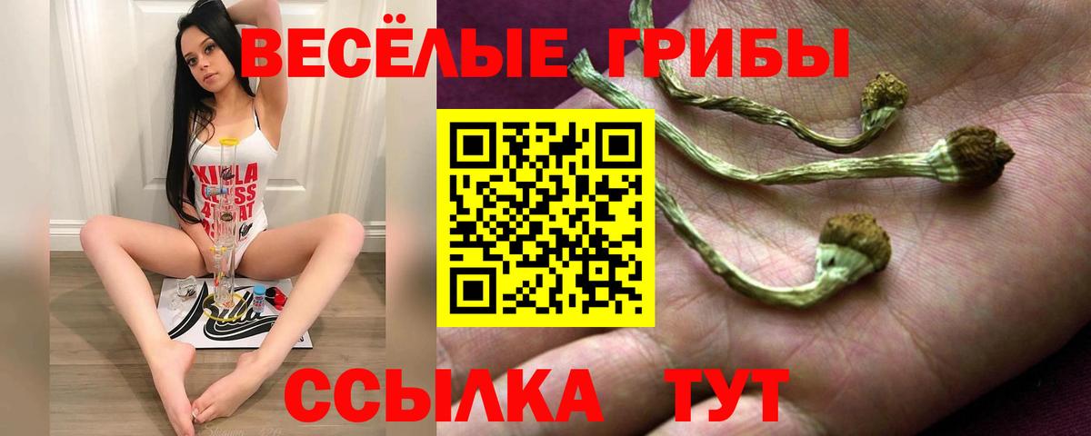 Киров  Псилоцибиновые грибы прущие грибы  Галлюциногенные грибы Psilocybine cubensis  Вход с VPN 